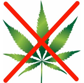 cannabis-500px.jpg